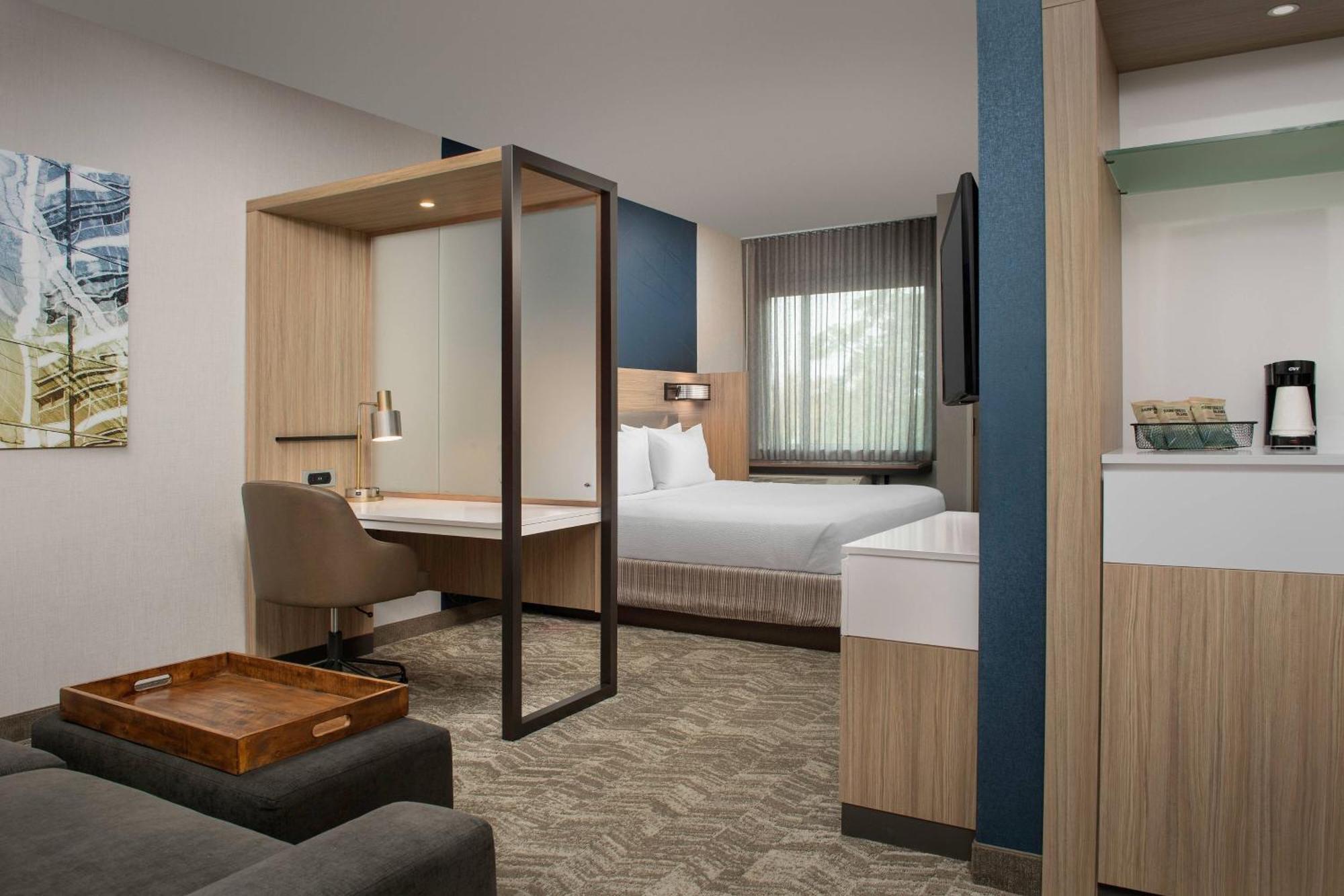 נורת' צ'רלסטון Springhill Suites By Marriott Charleston Airport & Convention Center מראה חיצוני תמונה